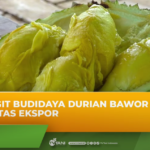 Durian Bawor Jasinga Haji Lis