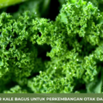 Manfaat sayur kale untuk kesehatan